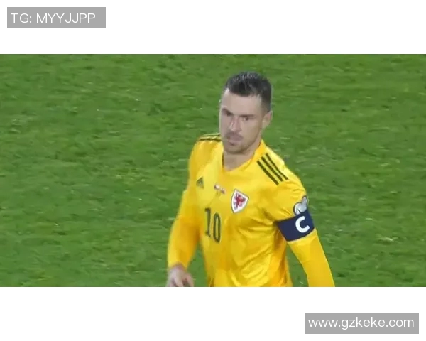 汉达诺维奇再次入选英超最佳阵容，成就传奇门将