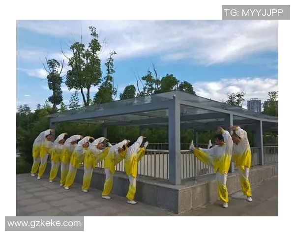 探索48式太极拳谱的精髓与实践技巧之旅 探索48式太极拳谱的精髓与实践技巧之旅